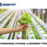 Hydroponic Systems: 6 Different Types