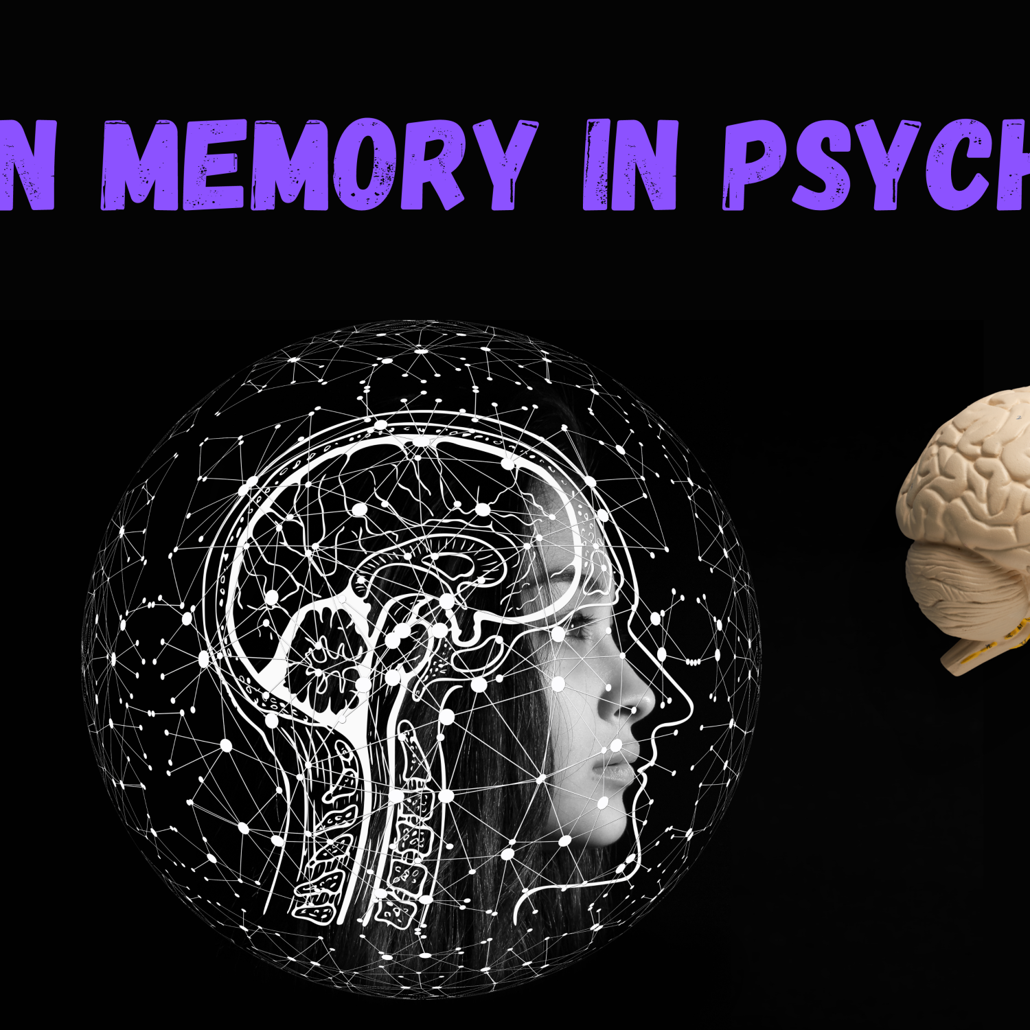 Introduction To Human Memory In Psychology Studentgiri