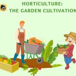 Horticulture: The Garden Cultivation