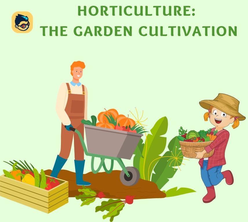 horticulture-the-garden-cultivation-an-introduction-studentgiri